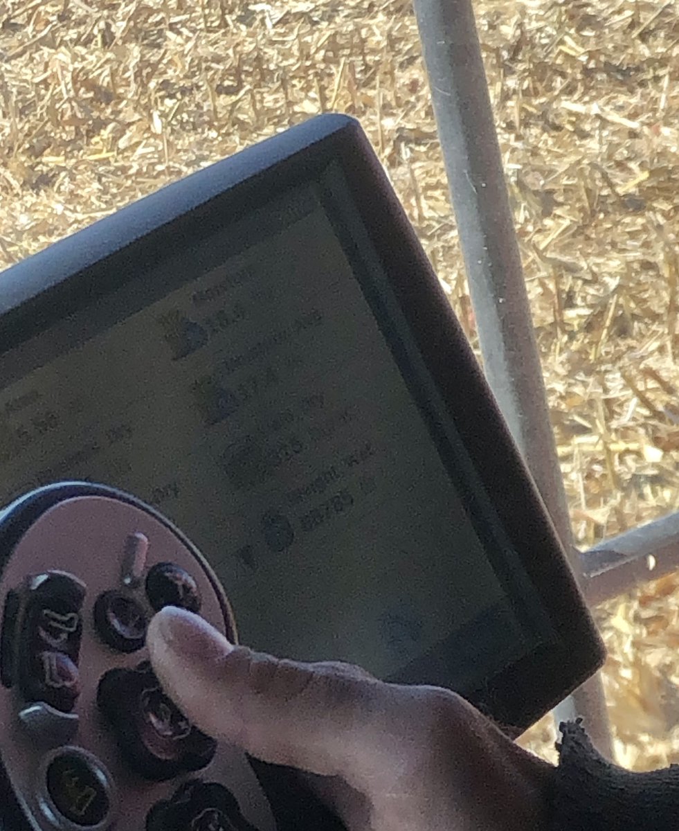 Dylan Davidson tweet media