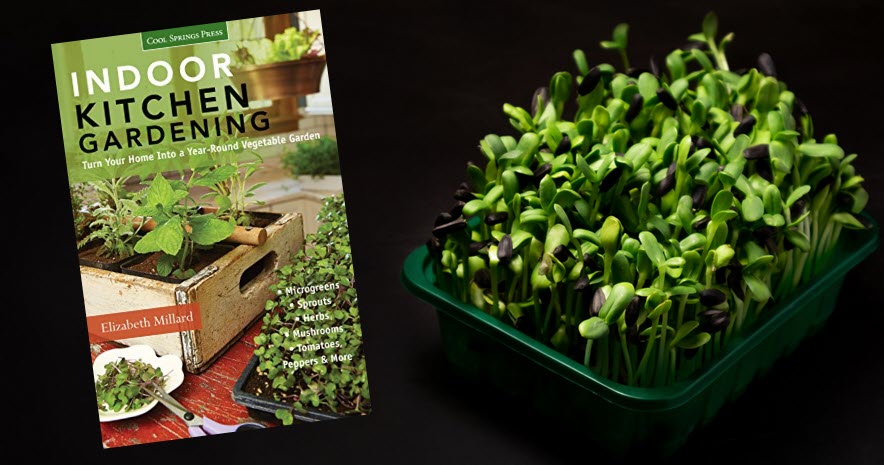 #indoorgardening #herbs #vegetables #mushrooms  I love this book ... poured over the beautiful illustrations &amp; ideas for weeks. So far I've had 2 beautiful crops of #microgreens &amp; am about to pull radishes. In less than 10 days you too can enjoy a feast! amzn.to/3AGH6V1