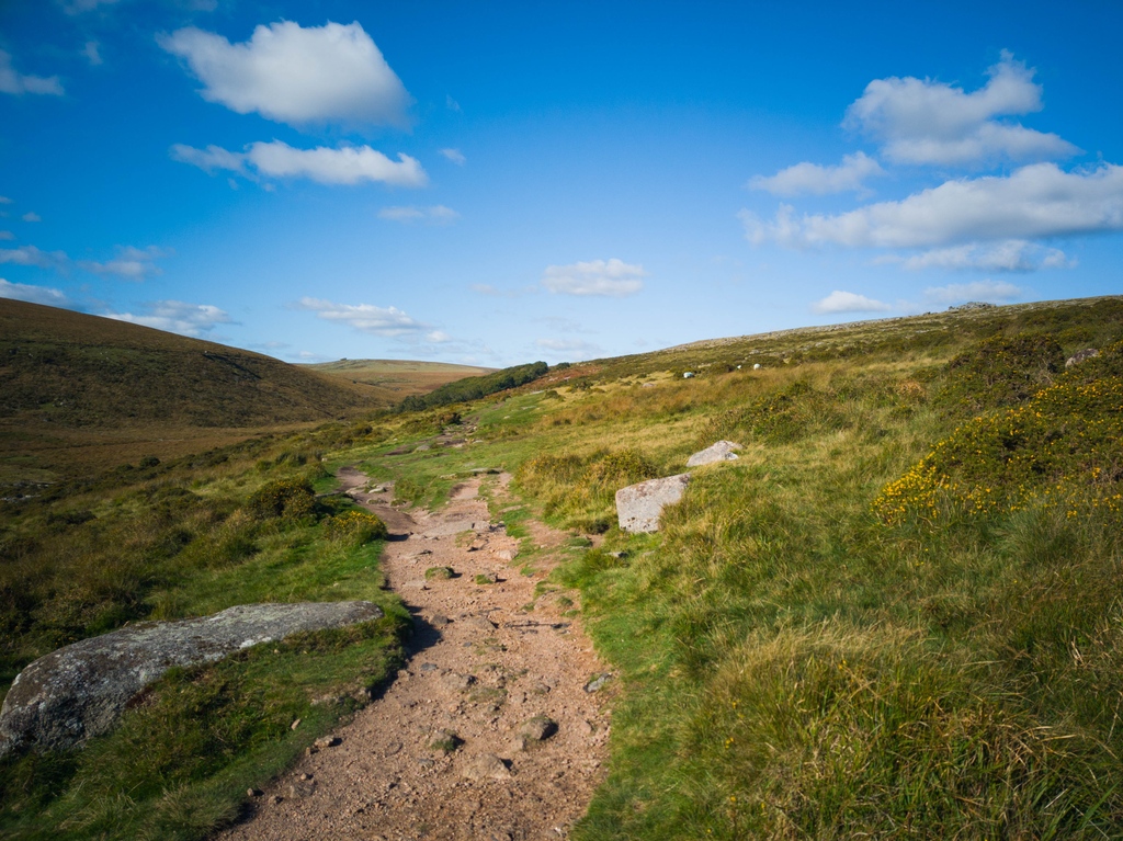 geckoafar's tweet photo. #ShareYourDream #Sweepstakes A dream trip of mine would be to take my parents to the UK and visit our favorite British TV show film locations! We'd love to see where they filmed Doc Martin, All Creatures Great &amp; Small, Downton Abbey, Father Brown, etc. How cool! @AmericanAir https://t.co/DBHJY03bqC