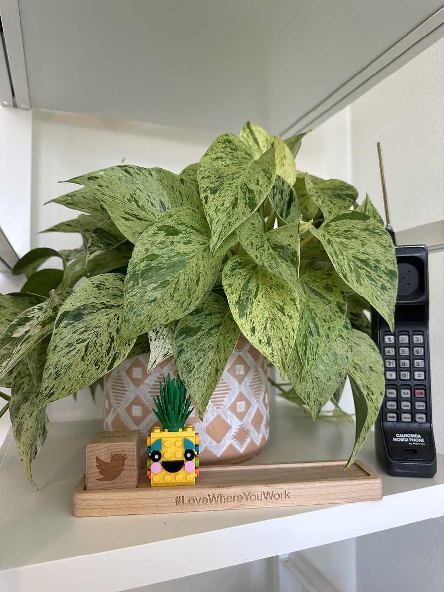 diy <a href="/Twitter/">Twitter</a> block