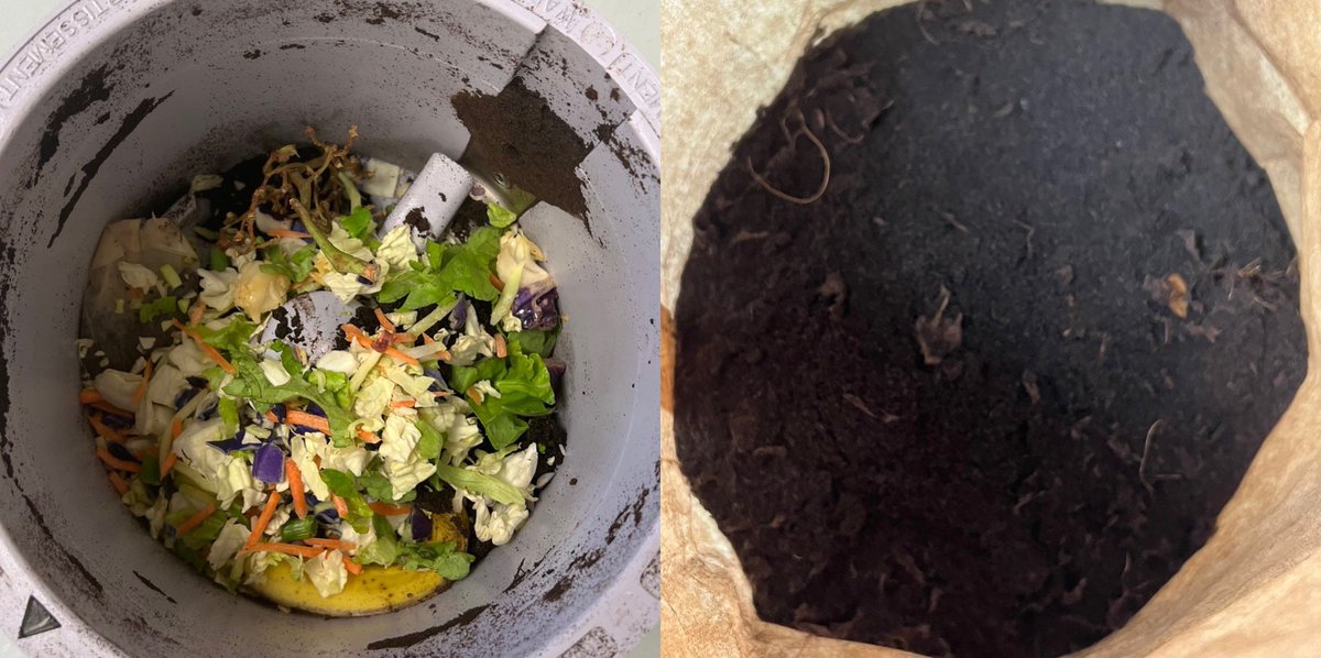 October 17-23 is Waste Reduction Week! At the CLASS office, we have a FoodCycler that turns our food waste into compost for our plants! We fill one bucket a day with coffee grinds, banana peels, apple cores, etc., and turn it into dirt! No food waste to landfill here :)