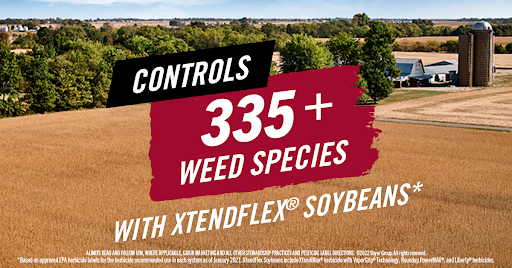 Channel_Indiana's tweet image. Another year, another winning combination for farmers. See why #XFsoy and the #RRXtend Crop System give farmers the weed control advantage over competitors: bit.ly/3yTn7n0  #BayerUp #harvest22