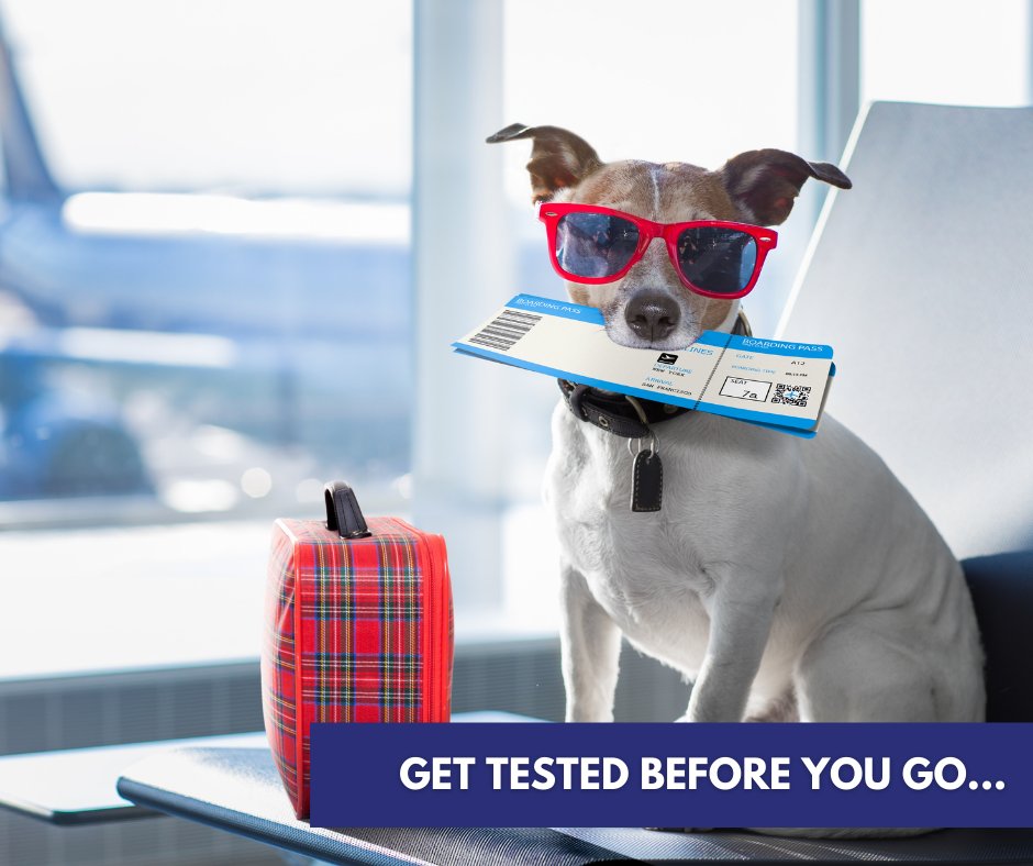 MedriteH's tweet photo. Get Tested Before You Travel! Walk-ins Welcome. No Appointment Necessary. We are located at 151 Court Street (on the corner of Court &amp; Pacific). https://t.co/iYTzcx7efL