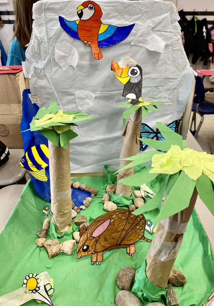 mrslynchsclass's tweet photo. These are just some of the final products! #lifesystems #habitatsandcommunities #oceans #woodlands #rainforests #polar @SJArnprior @RCCDSB 
🐬🦈🐠🐙🦌🦫🦨🦉🦆🐝🦅🦭 https://t.co/56waZA5xRM