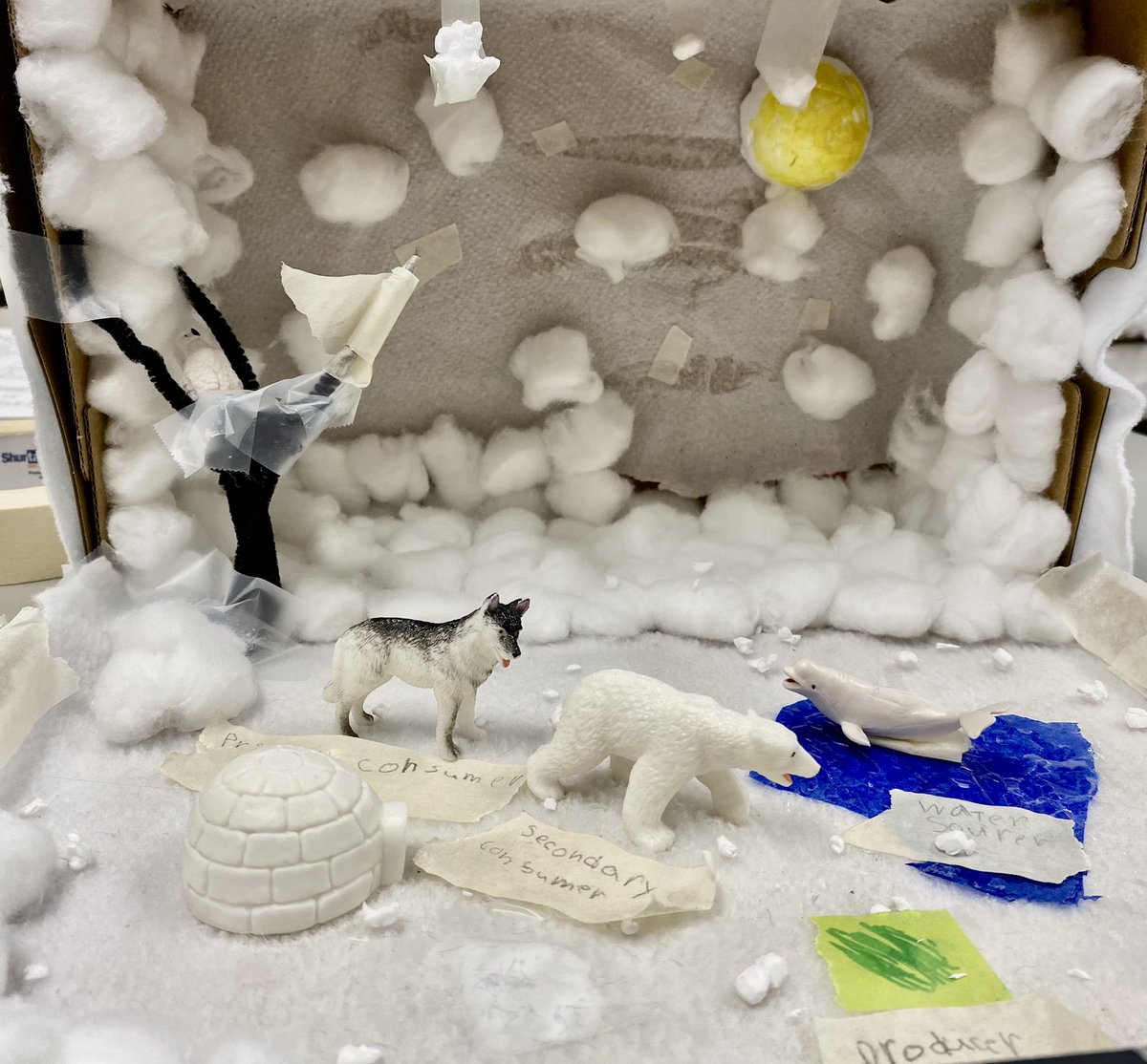 mrslynchsclass's tweet photo. These are just some of the final products! #lifesystems #habitatsandcommunities #oceans #woodlands #rainforests #polar @SJArnprior @RCCDSB 
🐬🦈🐠🐙🦌🦫🦨🦉🦆🐝🦅🦭 https://t.co/56waZA5xRM