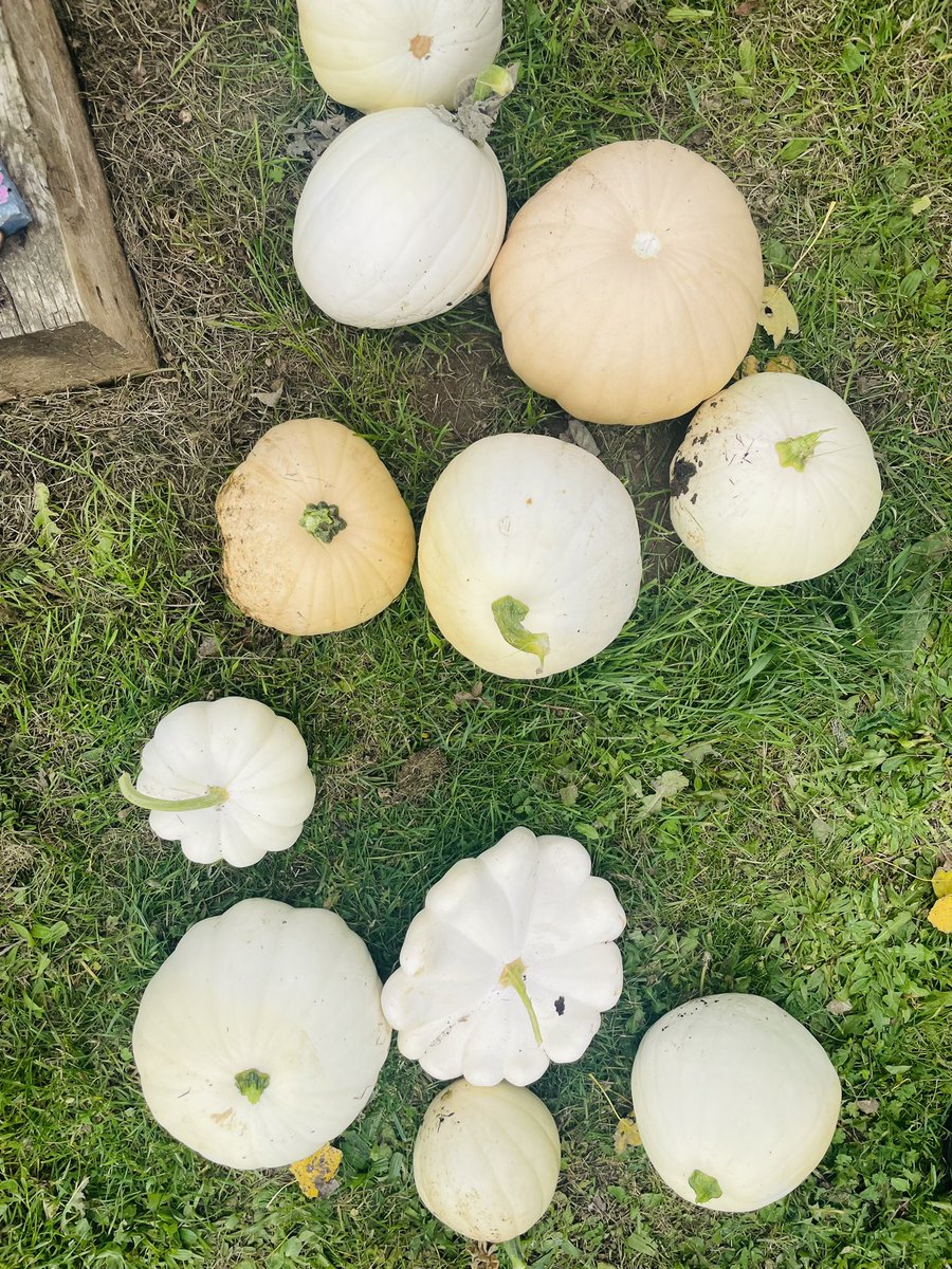 Abbie Underwood tweet media