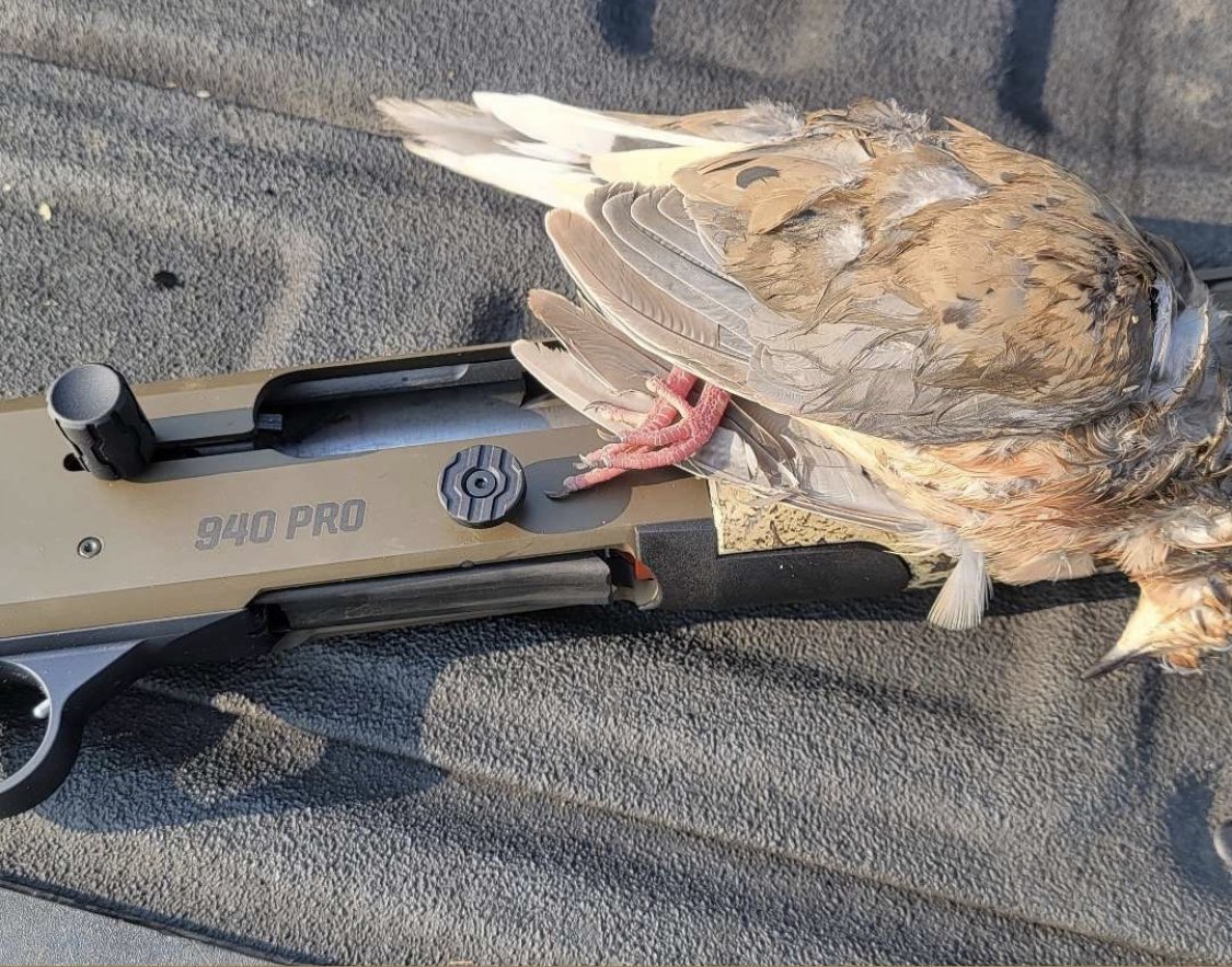 MossbergCorp's tweet photo. Have you heard? It's hunting season. Get out there! #Mossberg #Mossberg940 https://t.co/1BsYyVqlwE