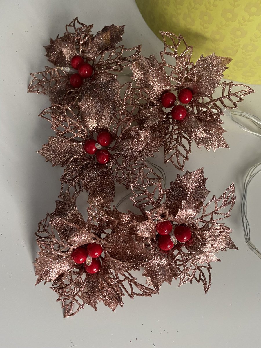 annagti93's tweet photo. These are what I’m working on at the moment their available in silver gold champagne white and red,set of 10 or 20 fairy lights what do you think 🤔 #handmadehour #handmadenation #handmadebyme #crafthour #womeninbiz #sbs #love #fairy #lights https://t.co/W3kIqClHkg