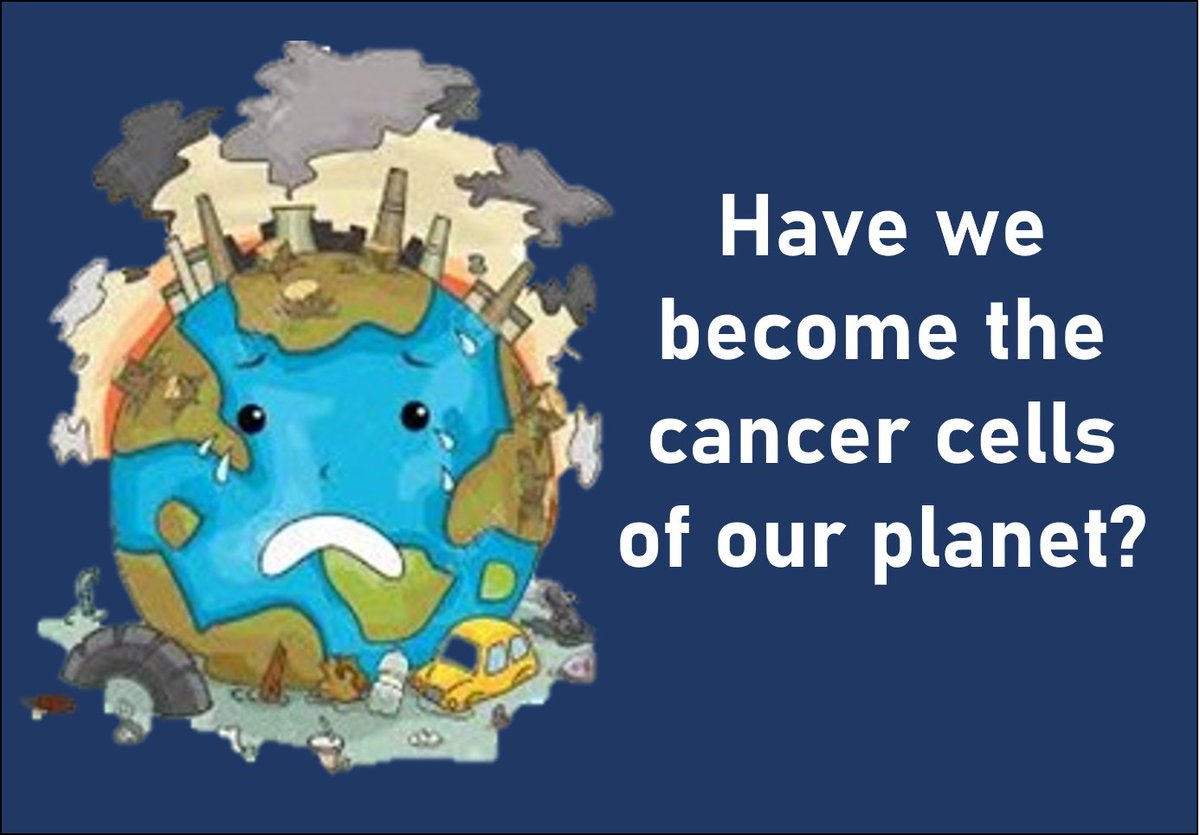 DemocracyAlert's tweet photo. Why are we so slow and reluctant to address the #environmentaldestruction we've created in our world?  Check out our take at https://t.co/rCCnEQDj3u https://t.co/Z6C6LFpzS6
