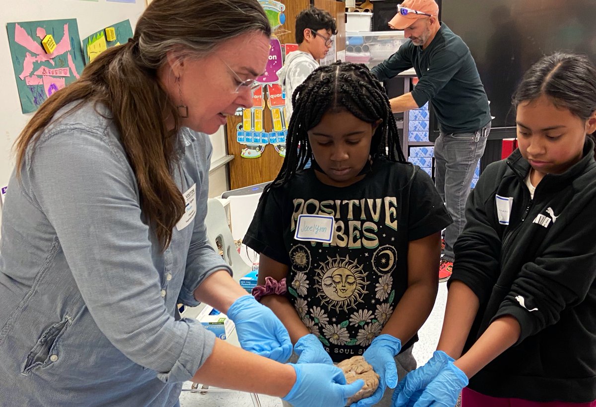 Dr_Mihalik's tweet photo. 5th grade touching a human brain as they learn about perception &amp; senses with @HHMIJanelia 🧠 @LCPSScience https://t.co/U89QO0Fkz6