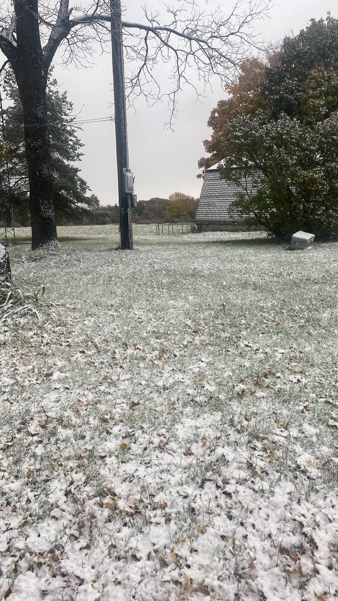 Patrick Hammer on Twitter "Perrysburg, New York averages 205"of snow a