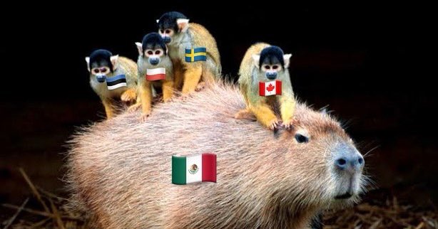 HistoriaPTontos's tweet photo. Les voy a dejar la Política Exterior Mexicana explicada con capibaras: https://t.co/ZdlI7QCorj