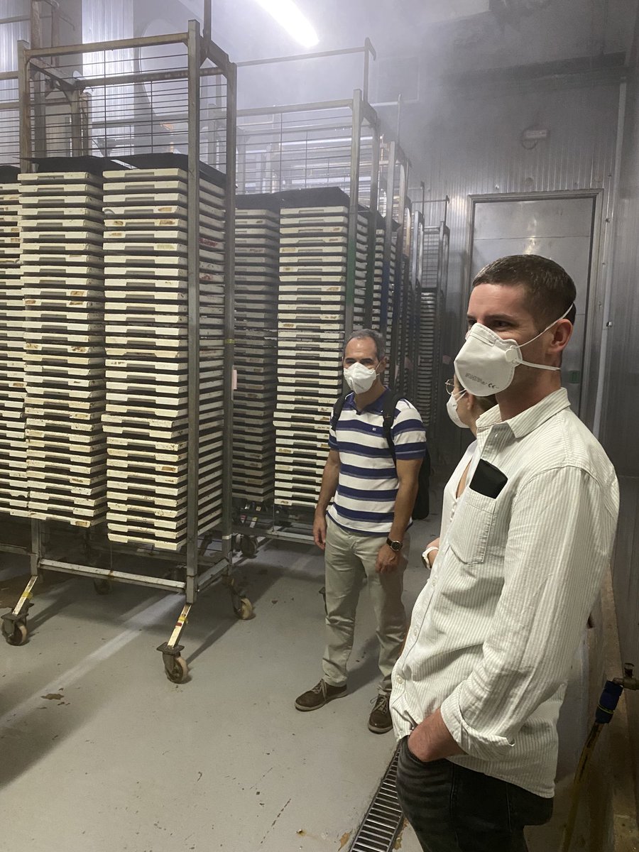 ⁦<a href="/insectdoctors/">insectdoctors</a>⁩ visit to Medfly sterile insect technique factory in Valencia.  A “small “ facility making only half a billion flies a week.  Really good to see everyone after years of travel problems