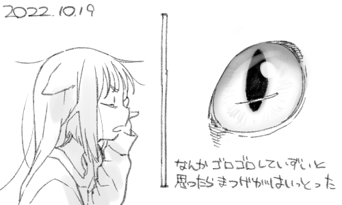 そのうち出て行ったみたいですがもしかしたら眼球の裏に今まで入り込んだまつげがうずたかく詰まっているのかもしれませんね 