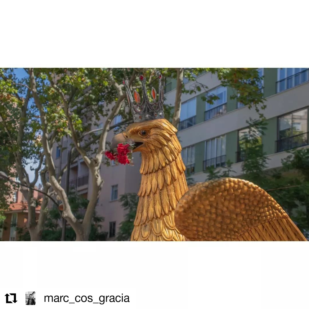 #Repost @marc_cos_gracia
Misericòrdia 2022.

#Misericòrdia2022 #reus #igersreus #raconsde_reus #total_reus #igerstgn #igerstarragona #somtarragona #raconsde_tarragona #tarragona_imatges #total_tarragona #loves_tarragona #ig_tarragona #encantsdelcamp #lamevatgn #costadaurada