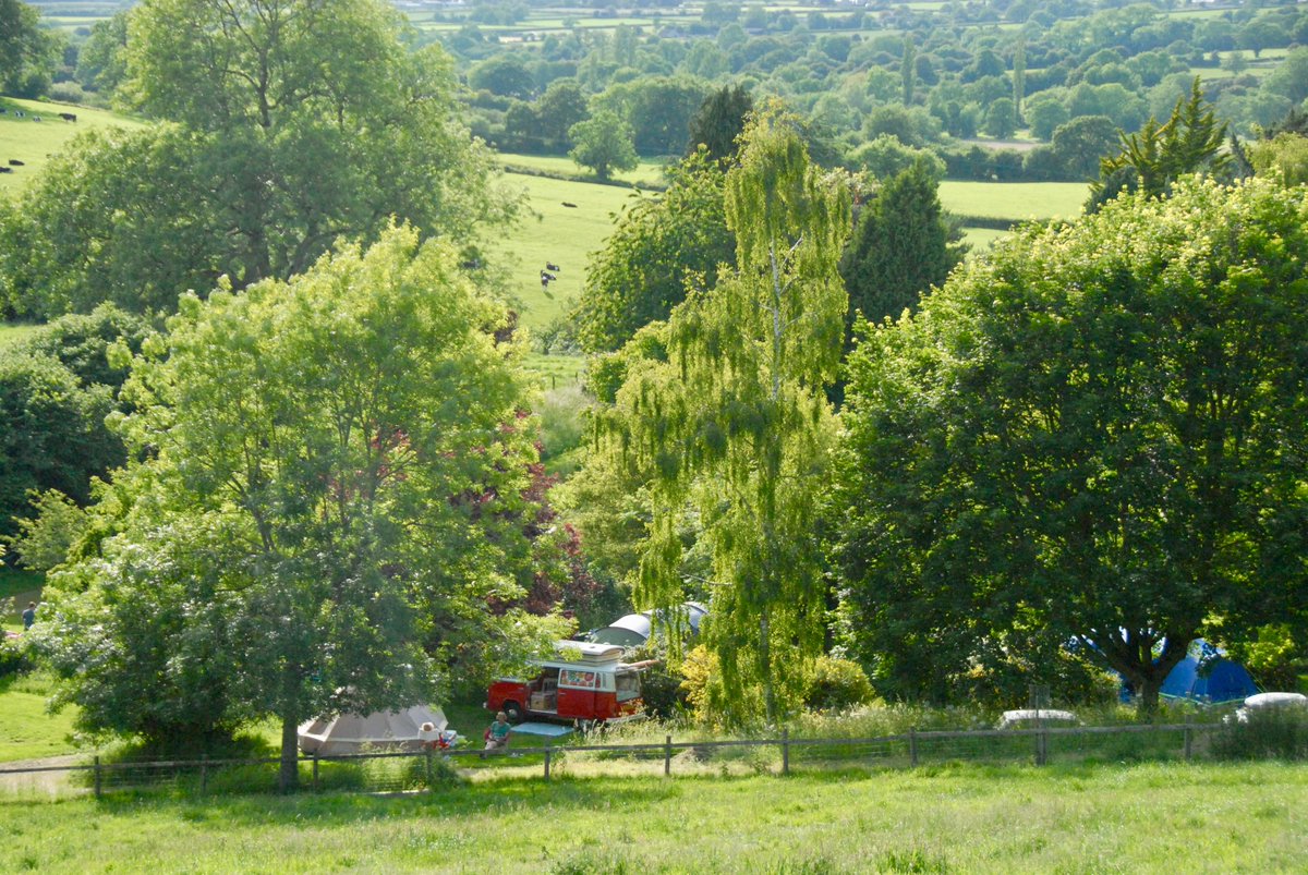 batcombevalecampsite tweet media