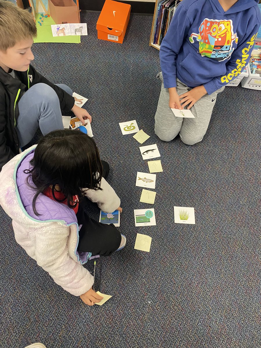 #dolsendolphins trying to create their own food chains and webs during science.