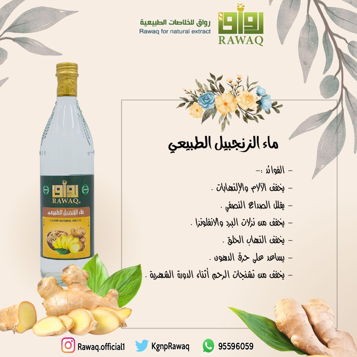 من شركة رواق ماء الزنجبيل الطبيعي في هذه الأيام يحتاجه كثيرا من الناس وله فوائد عديدة متوفر في الأسواق
