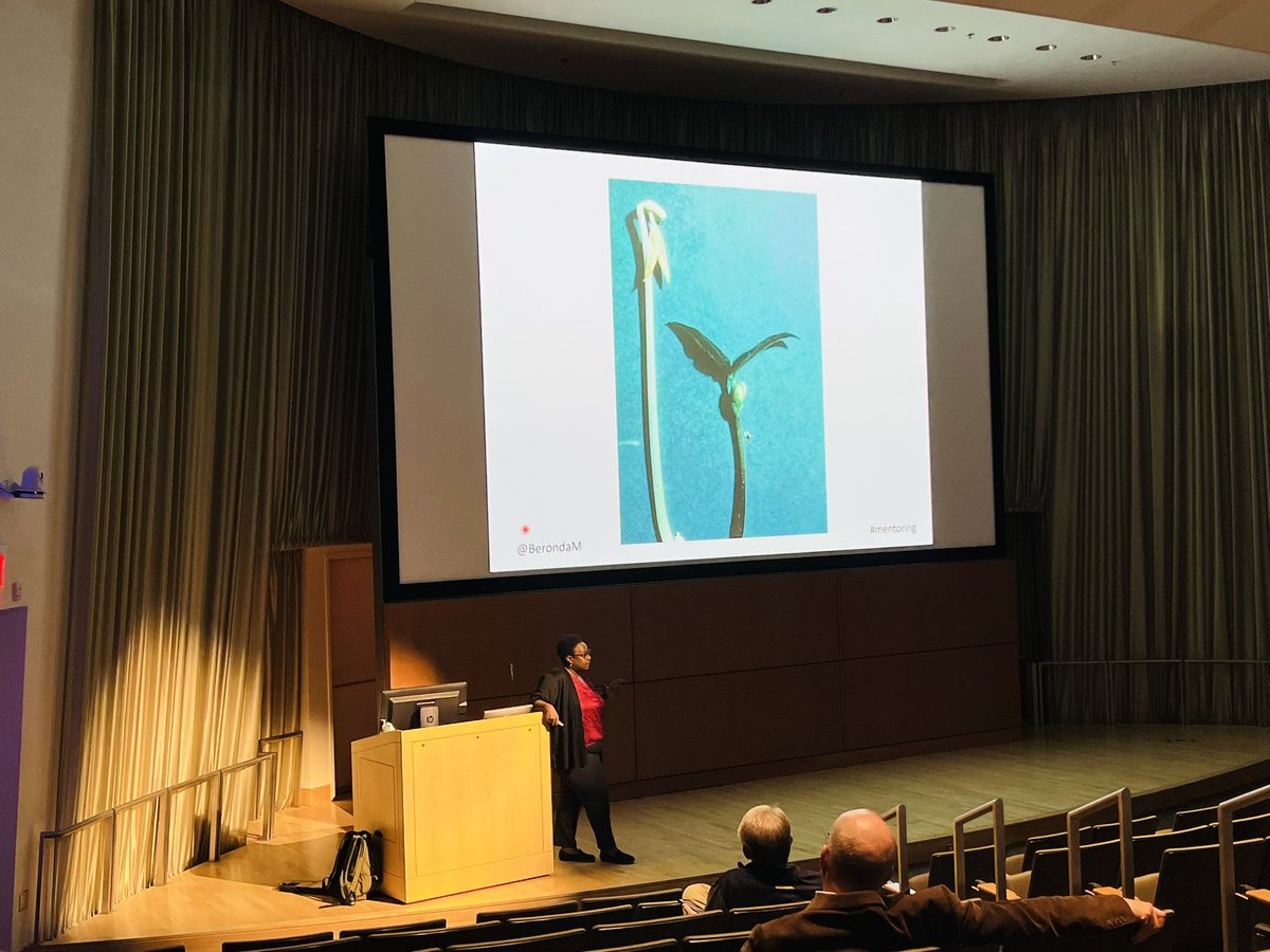 Dr_Sprggs's tweet photo. If you’ve never had the privilege to hear @BerondaM discuss mentoring, NOW is your chance! She’s speaking in the BSRB Kahn Auditorium from 3-4pm 🌱#LessonsFromPlants https://t.co/6iRsLslIO3