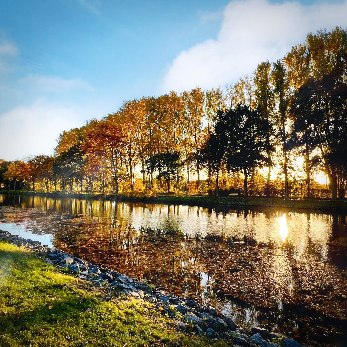 UnserLingen's tweet photo. Goldener Herbst in #Lingen
Einfach wunderschön 🤩 https://t.co/fAH1ACfCTb