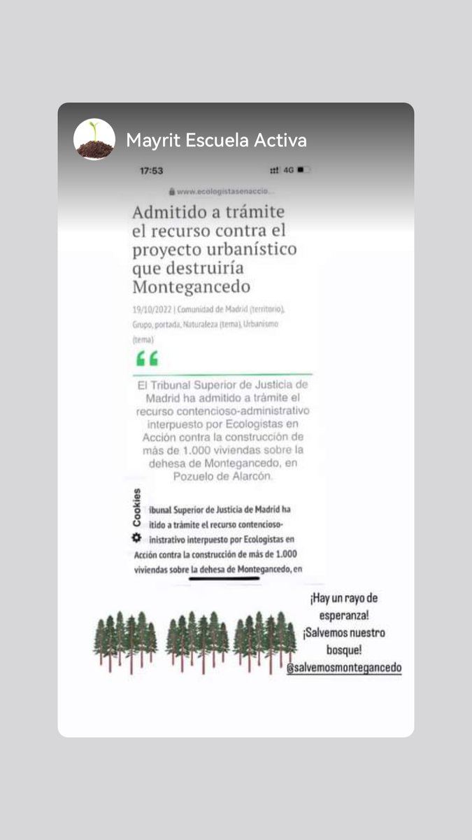 Mar Diez tweet media