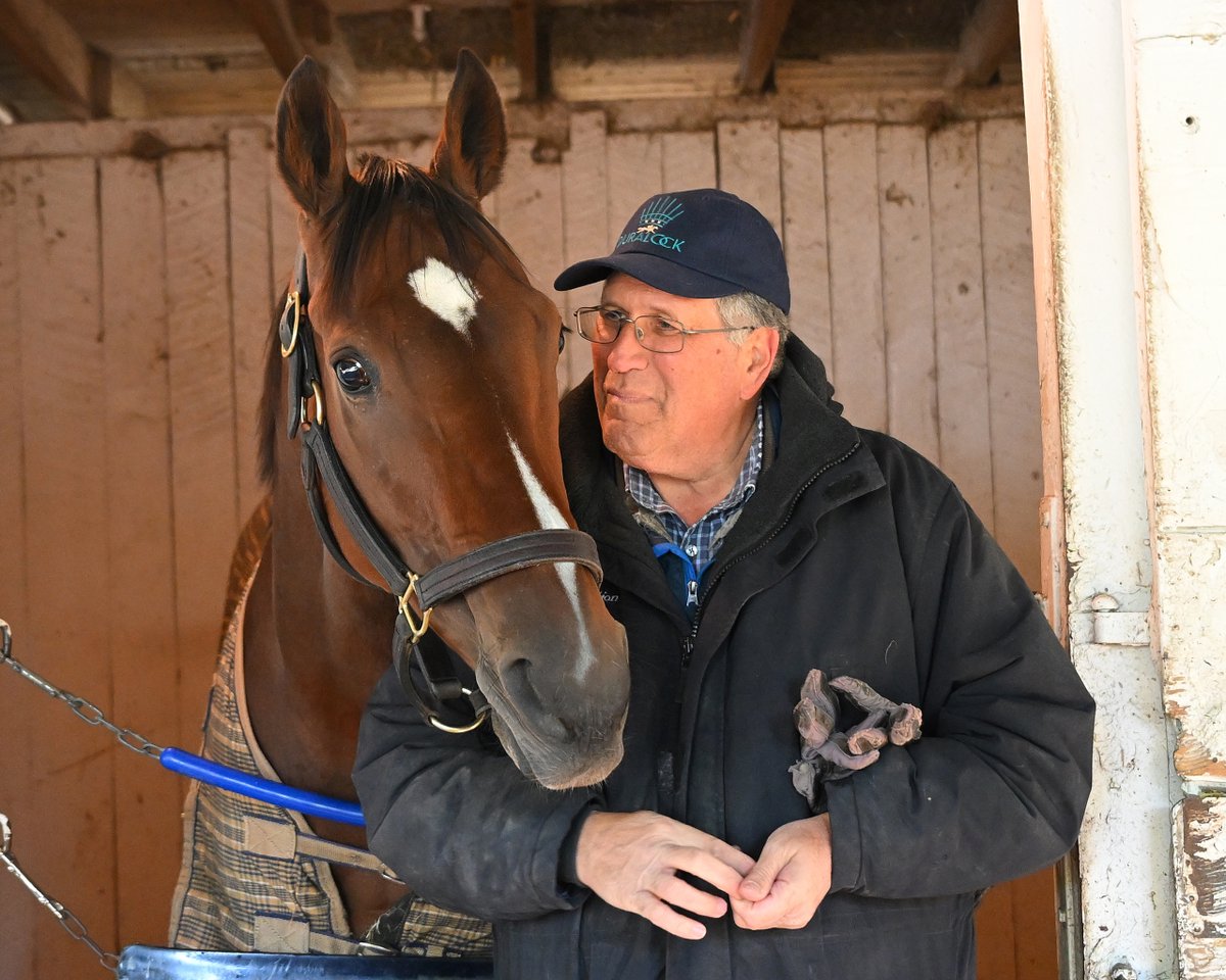 BloodHorse's tweet photo. Trainer Neil Pessin talks to our @BH_AEberhardt about #BellstheOne, her career highlights and looking forward to her upcoming role as a broodmare.

WATCH ON BH+ → https://t.co/i2iN44N5a9

📸 @BH_AEberhardt https://t.co/HtjXtmOhF8