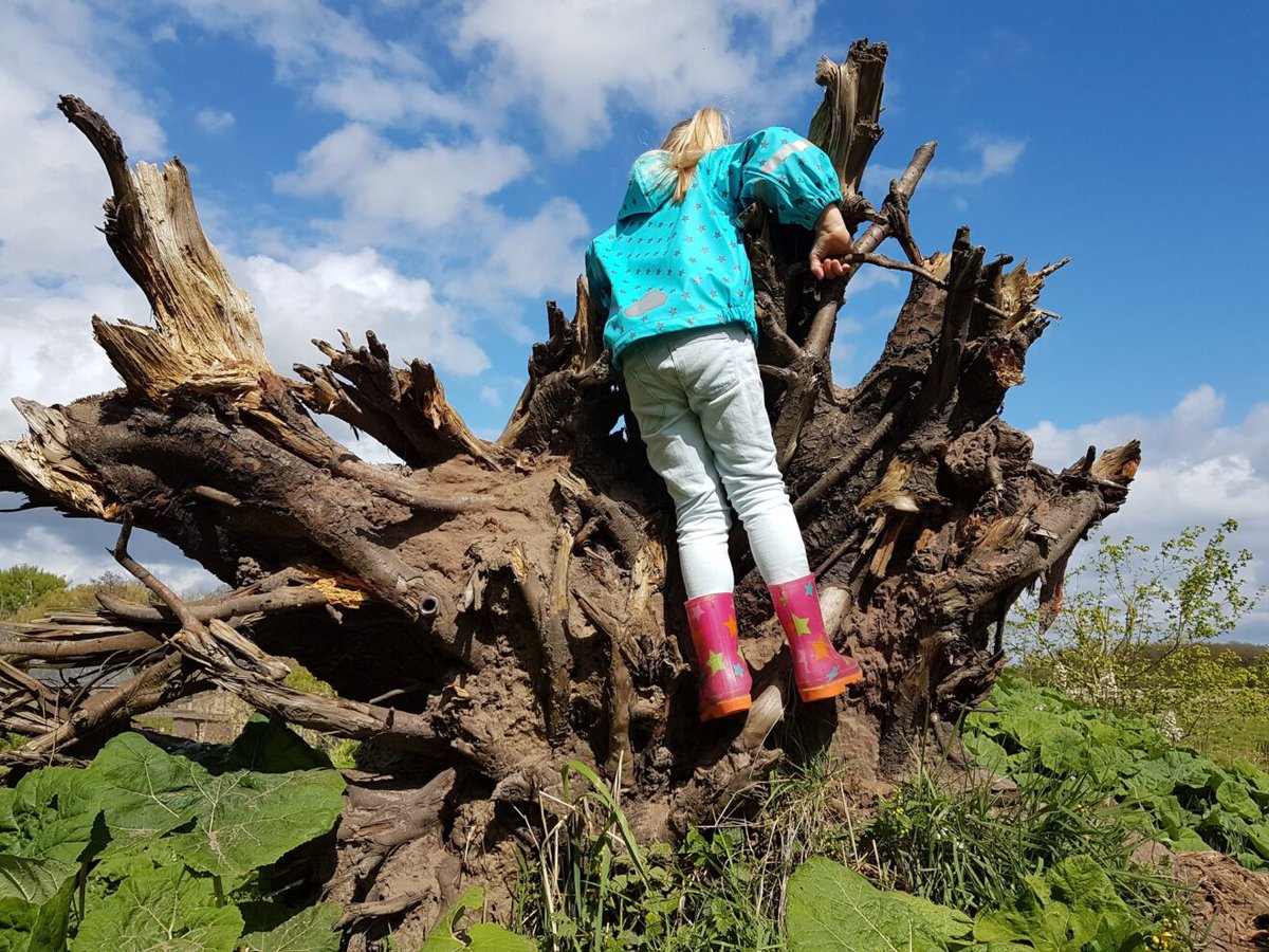 LeusdenNatuur's tweet photo. Het is bijna herfstvakantie in Leusden!

Op woensdag 26 oktober kunnen de kids weer lekker spelen in de Struintuin tussen 14:00 - 16:30 uur en broodjes bakken boven het vuur 🔥

Meer informatie en aanmelden via: https://t.co/1C9IfGZ7qj https://t.co/zDidxDi0tu