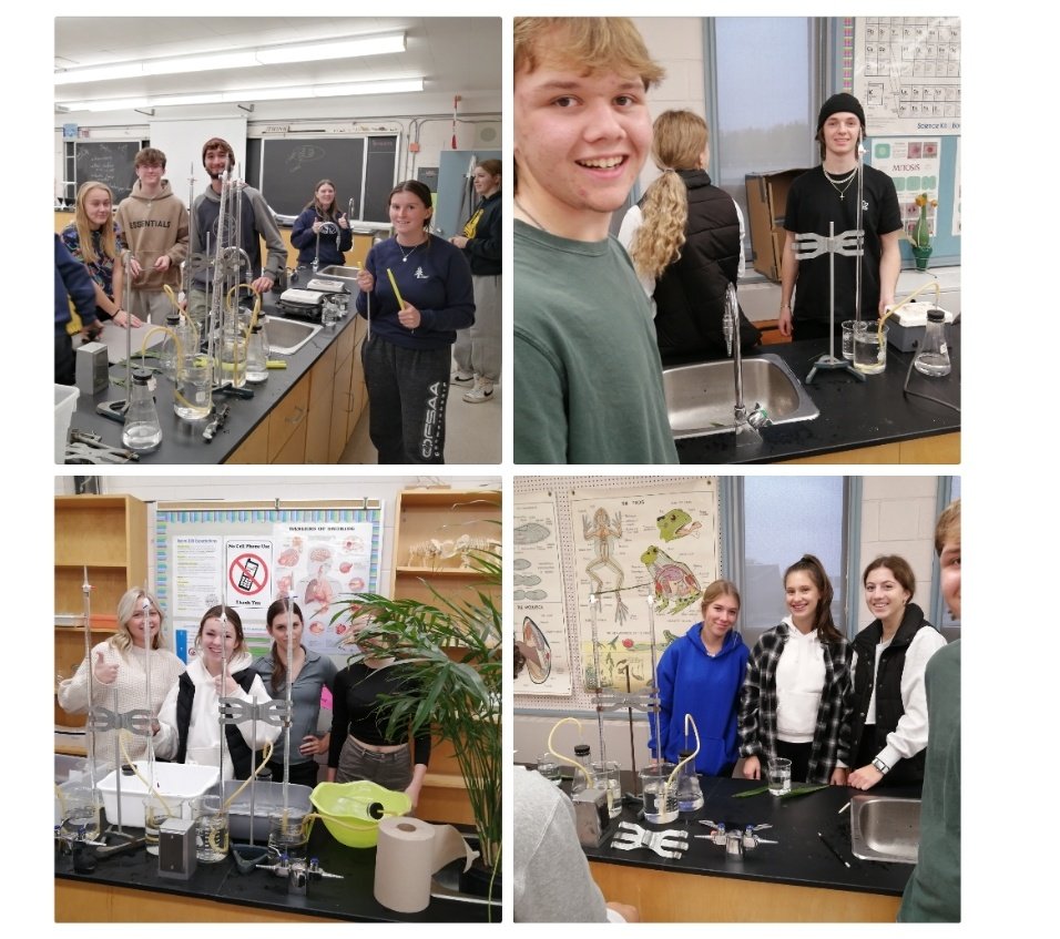 Big day in 4U Bio!  We were able to track how temperature impacts rates of photosynthesis!  As a bonus we were able to work on our collaboration skills #melvin
