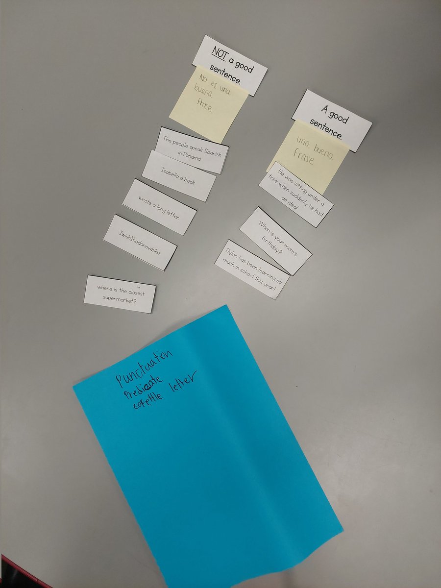 websterteaches's tweet photo. We started working on a writing unit with a focus on what makes "good sentences." Treeko wanted to check out what the kids were working on, too! #ESOLrocks #MakeADifference @HydeElem #GoWarriors https://t.co/YBZOxGAWKY