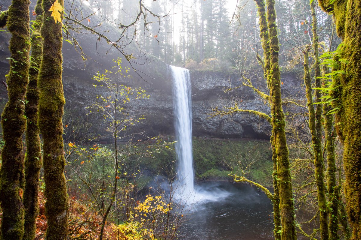 Maybe you’ve never crossed this PNW must-do hike off your bucket list, or maybe it’s time for a reunion. Water levels are a bit low right now, but the falls and foliage are still stunning.

pdxtoday.6amcity.com/hike-of-the-mo…