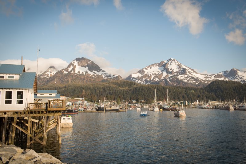 CopperWatershed's tweet photo. Want to join the team? CRWP is looking for a full-time Watershed Stewardship Program Manager. If you are based in Cordova, AK and are passionate about keeping the Copper River watershed healthy, we'd love to hear from you!
https://t.co/TNnTB2gytW
#CordovaAlaska #jobopening https://t.co/KrfXPgmL5G