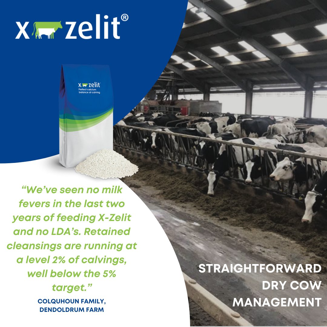 Subclinical milk fever issues could be affecting your herd and you may not realise it! X-Zelit provides the perfect balance of calcium for that never to be a worry. Farmers find that cows on X-Zelit calve easier, have reduced metabolic disorders and improved fertility!