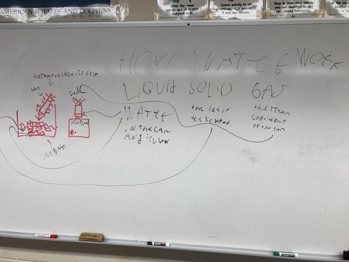 derek brez tweet media