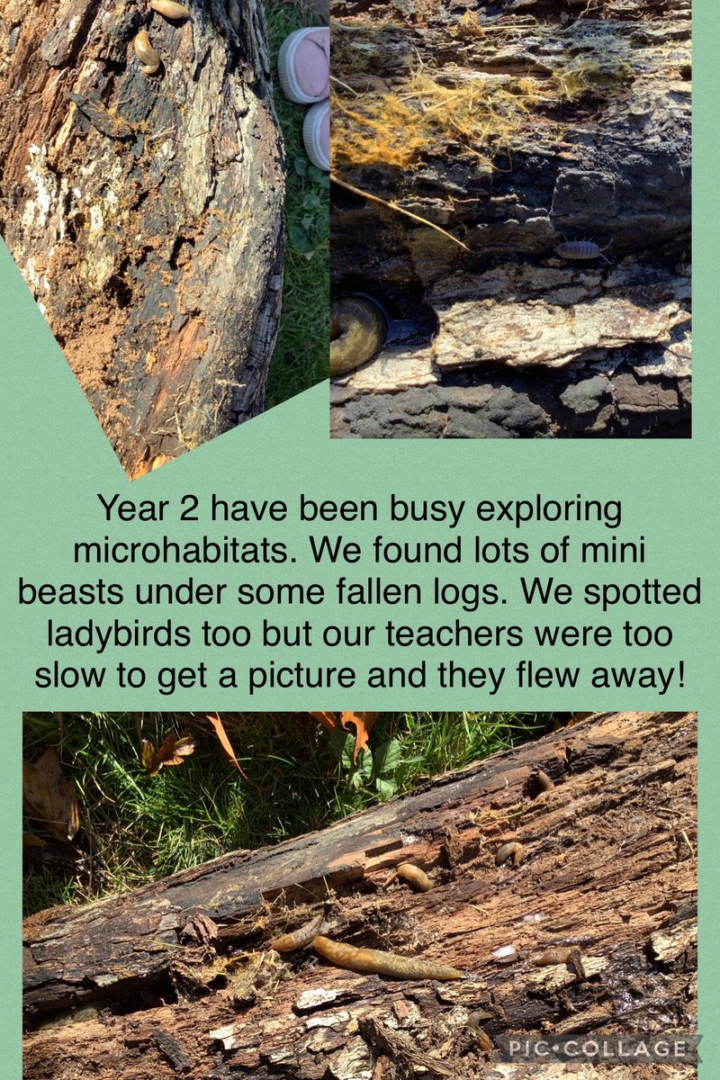 ESPA (@espacademy) on Twitter photo 