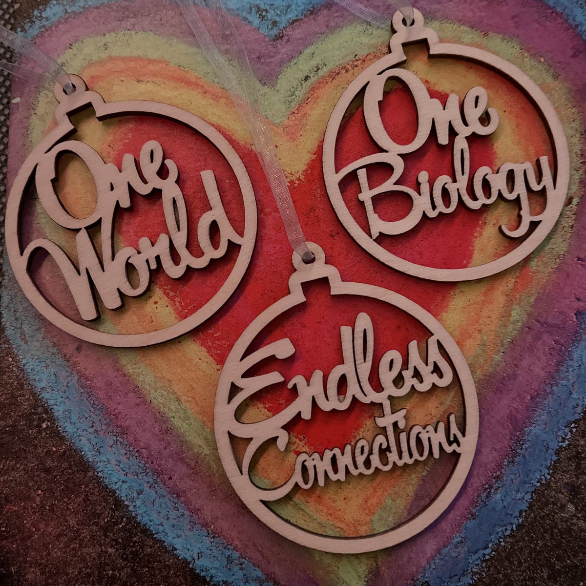 Dr Sarah Williams tweet media