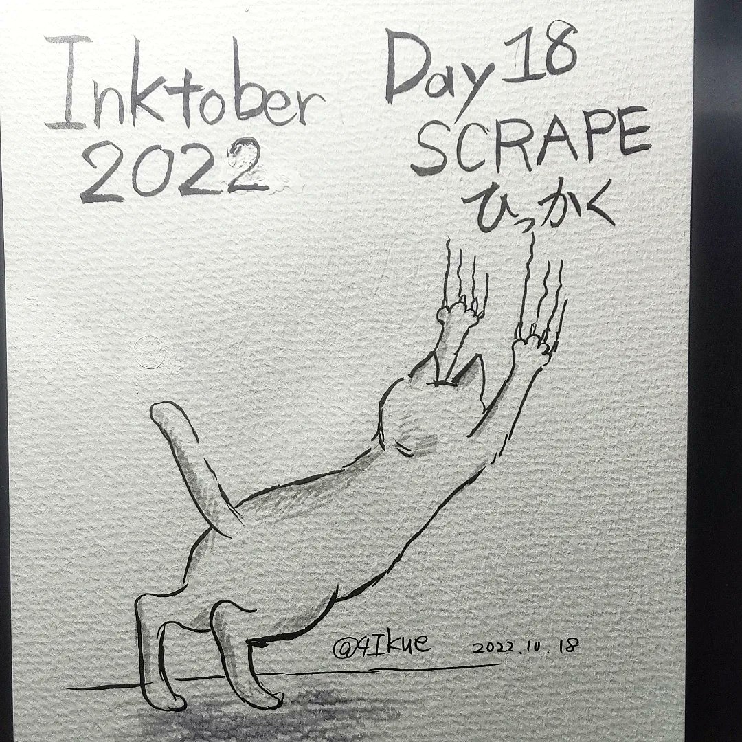 4Ikue's tweet photo. Inktorber2022  ⁡
⁡⁡DAY17:SALTY(しょっぱい)⁡
⁡DAY18:SCRAPE(ひっかく)⁡
⁡DAY19:PONYTAIL(ポニーテール)⁡
⁡⁡最近忙しかったので、まとめてのアップです。⁡
⁡ #inktorber2022 #inktorber #SALTY #SCRAPE  #PONYTAIL ⁡
⁡#kuretake_inktober2022 #万年毛筆  #kuretake #mildlinerbrush https://t.co/FmTWfPCYWu