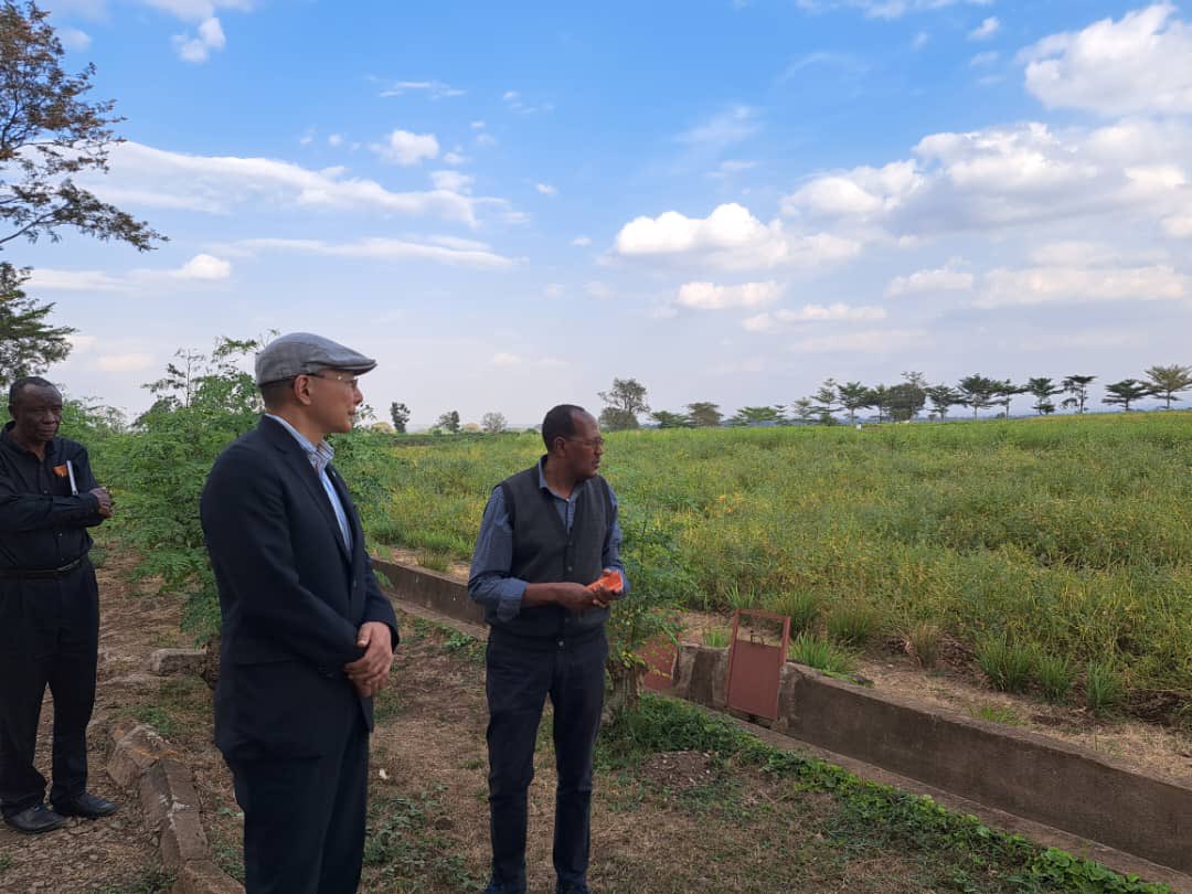 JapanAmb_TZ's tweet photo. I visited “@WorldVegCenter ” in Arusha, international agricultural R&amp;D institute. It greatly contributes to enhancement of productivity and profitability of Tanzanian farmers. We would like to continue cooperating as one of its partners.
https://t.co/gHuhXZRNij https://t.co/ovFj4sWWp7