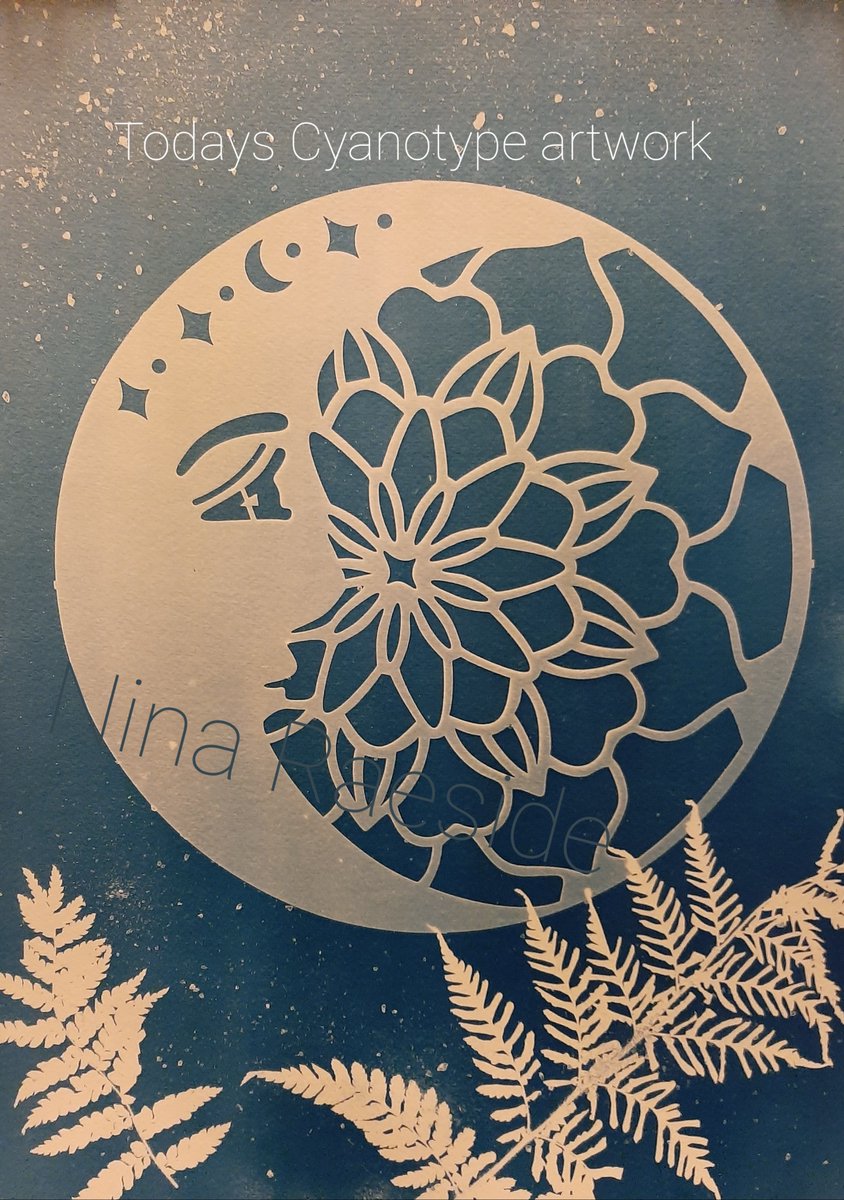 NinaR_reilly's tweet photo. Wet , wild n windy day today, but cozy inside my art space creating cyanotype prints. Fur babies keeping me company in the peaceful process #ninaraesideart #healthymind #kildarearts #cyanotypeprint #kildareartist #irishart #artwithnature #sunprints #sunart https://t.co/6Vh3eKFAiA