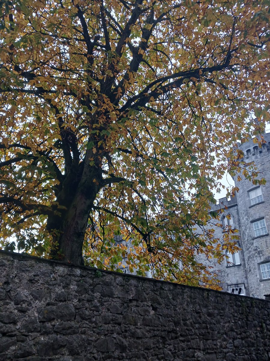 shazbk22's tweet photo. #kilkenny #birthdaygirl #coven https://t.co/7ZhO3AkggR