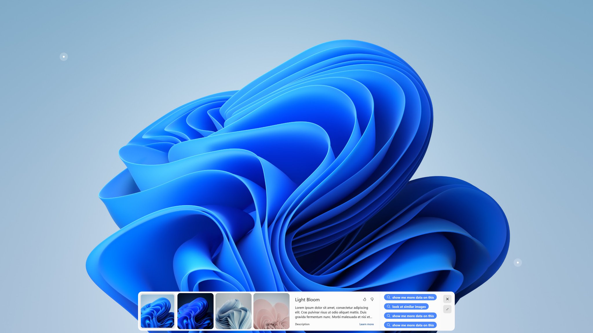 Xeno on Twitter: “It would appear that the Desktop Spotlight UI has