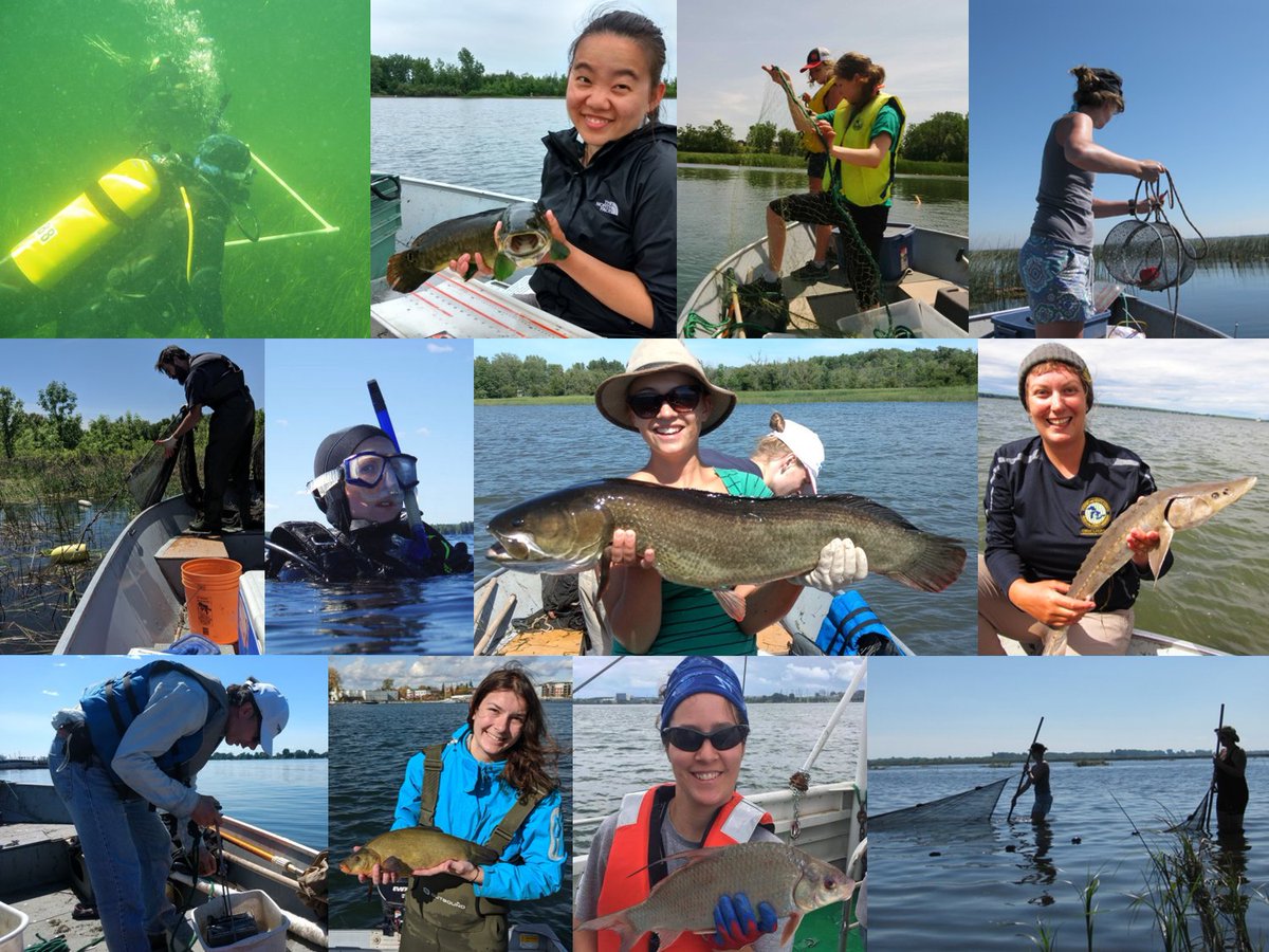 1]  My lab <a href="/mcgillu/">McGill University</a> is recruiting students to conduct research on aquatic invasions, starting in Fall 2023. We offer 2 fully paid PhD &amp; MSc positions. 
These are directed primarily at Canadians. Visit our website for more info: redpath-staff.mcgill.ca/ricciardi/rese….