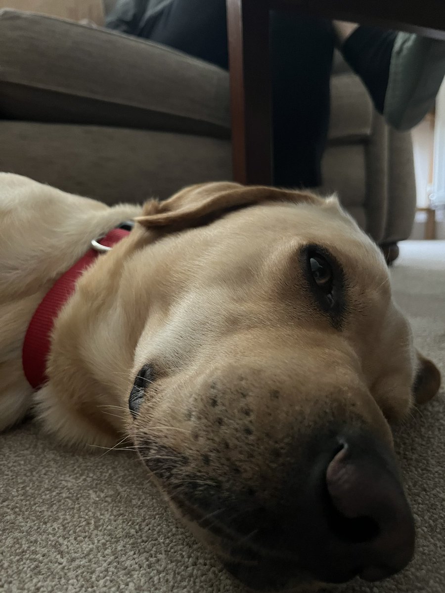 What a fantastic event to be part of!! I had a great time meeting delegates at the Police Covenant MH Peer Support Symposium in Kenilworth yesterday and today. Time for a well earned rest! <a href="/GarryBotterill/">Garry Botterill CF</a> <a href="/syptweet/">South Yorkshire Police</a> <a href="/OscarKiloUK/">Oscar Kilo</a> <a href="/OscarKiloNine/">OscarKilo9</a>