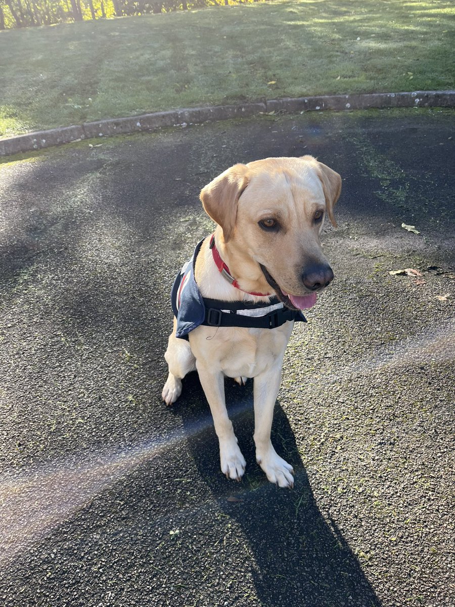 PwdKen's tweet photo. What a fantastic event to be part of!! I had a great time meeting delegates at the Police Covenant MH Peer Support Symposium in Kenilworth yesterday and today. Time for a well earned rest! @GarryBotterill @syptweet @OscarKiloUK @OscarKiloNine https://t.co/x5vBfoPItB