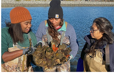 I had the pleasure of interviewing <a href="/ImaniBlackMIA/">Imani Black</a> last week after meeting her in Seattle at #GOALconf22. Check out how she's pioneering POC in the seafood and aquaculture industry with Minorities in Aquaculture (MIA).  #seafood #SeafoodSource ow.ly/Zi0o50LfSaV