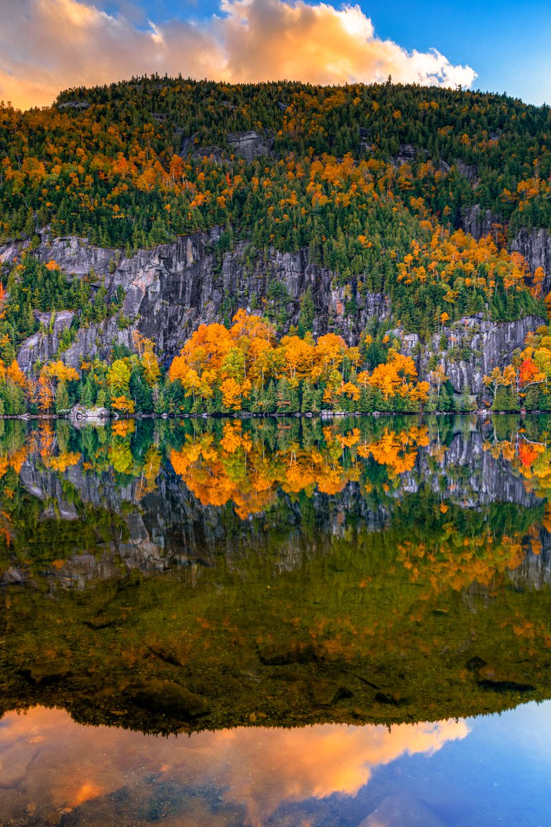 New York State Dept. of Environmental Conservation tweet media