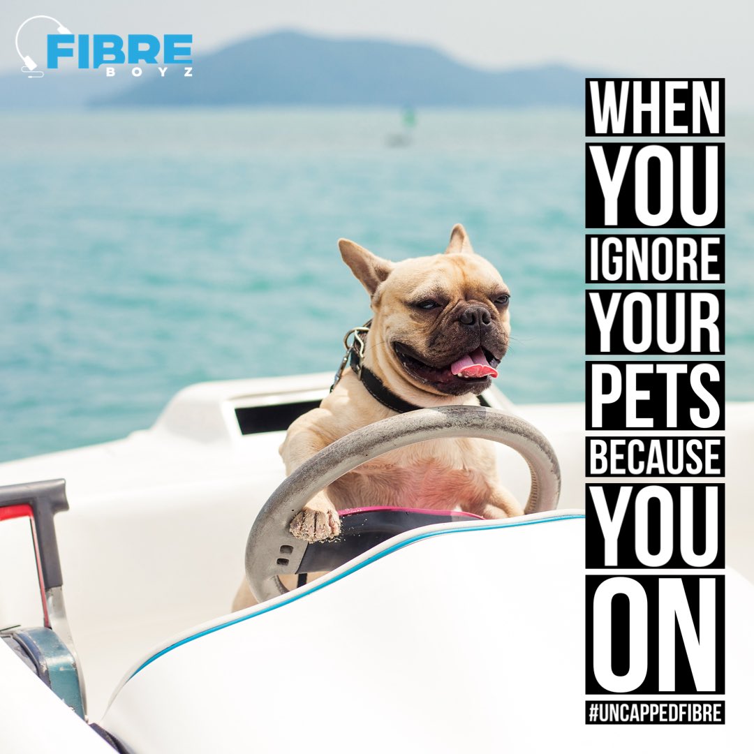 FibreBoyz's tweet photo. Life is so much more fun when you have an #uncappedfibre line! Contact one of our team to get your qoute on sales@fibreboyz.co.za or visit https://t.co/ns7CnFyGuH

#uncappedinternet #internet #finre #coolfibre #realfibre #fastfibee #internetfibre #internetcompany https://t.co/KHtUmrm5vC