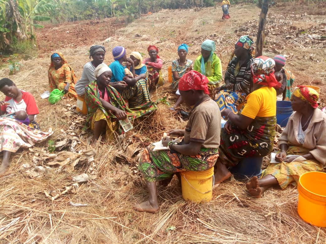 BurungaNews's tweet photo. #Burundi grâce aux cotisations journalières et aux microcrédits, les femmes de la coopérative "Akagoroba k'Abavyeyi n'Ibibondo" de #Mugutu de @Gitega se frottent les mains. Elles témoignent que leur niveau de vie s'est considérablement améliorée 
https://t.co/85cvXczC6g… https://t.co/bDbIsECGdp