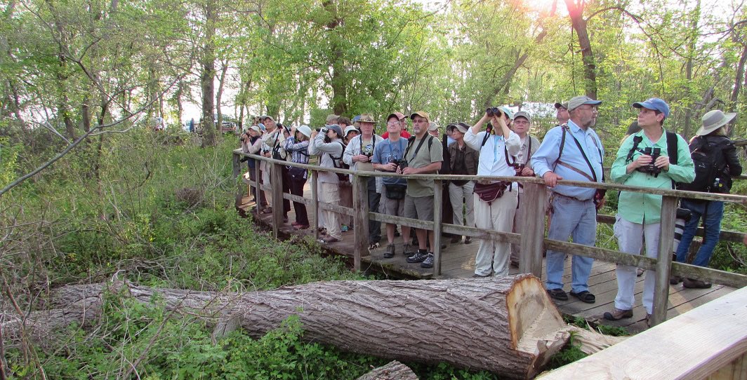 What’s Up with the ABA? — Proposed Changes to Bylaws 10000birds.com/whats-up-with-… <a href="/10000birds/">10,000 Birds</a>