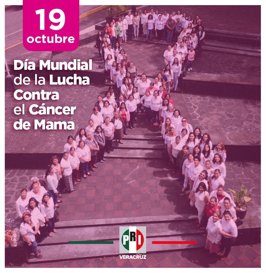 PRIVeracruz_'s tweet photo. El Día Mundial Contra el #CáncerDeMama tiene por objetivo fortalecer la cultura de la prevención a través de la autoexploración y la atención especializada; la detección temprana de este padecimiento ¡salva vidas! 

#OctubreRosa💕 https://t.co/FdVUbsw4kl