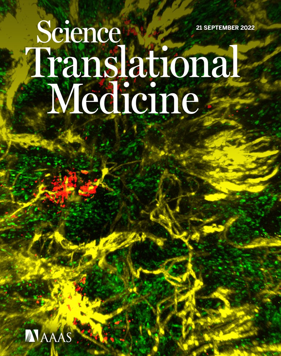 Thank you @ScienceTM for featuring our research on the cover! This beautiful image was taken by @Davide_Croci_ who led our study on imaging & tracking tumor-associated macrophages It shows nanoparticles being taken up by macrophages in proximity to the chaotic tumor vasculature